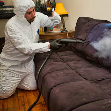 Bedbug Treatment Gallery Image