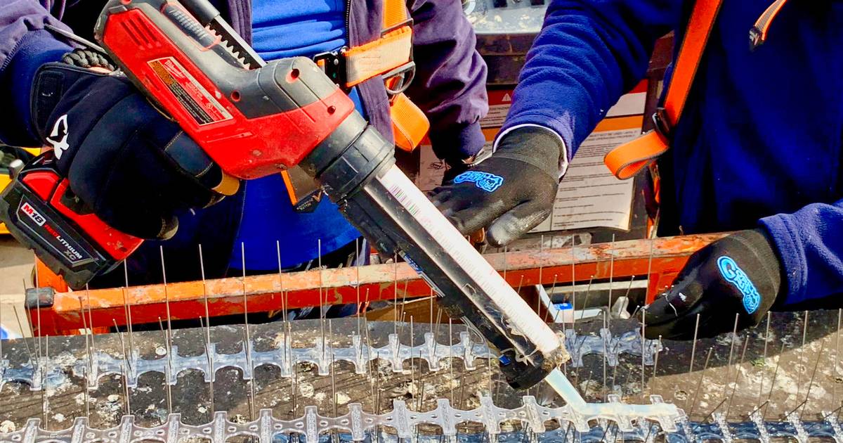 Standard Pest Management photo 5