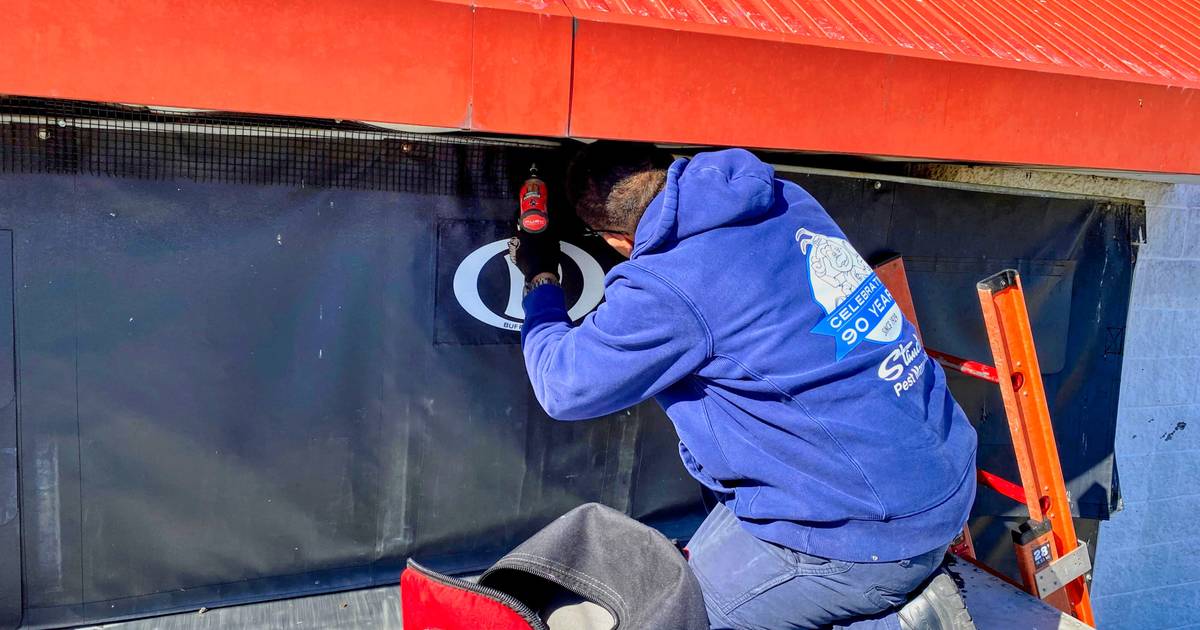 Bird Netting In NYC | New York City | Standard Pest Management
