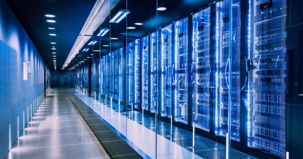 Network or Server Room NYC or NJ | Standard Pest Management