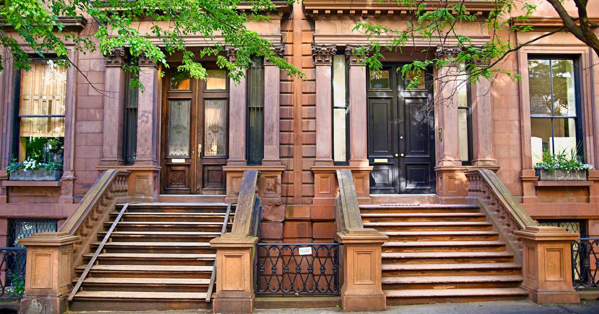 Standard Pest Management photo 3