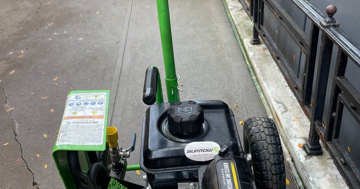 Rodent Carbon Monoxide Control in NYC Standard Pest Management