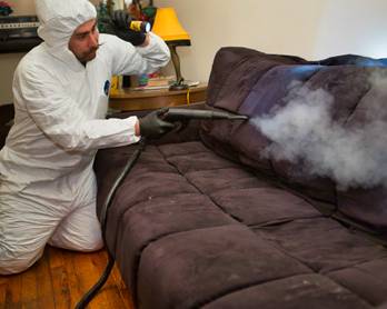 Steam Vapor Treatment for Bed Bugs 2