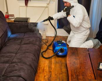 Steam Vapor Treatment for Bed Bugs 3