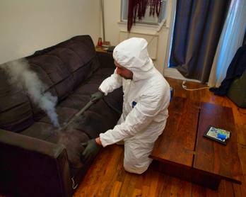 Steam Vapor Treatment for Bed Bugs 69