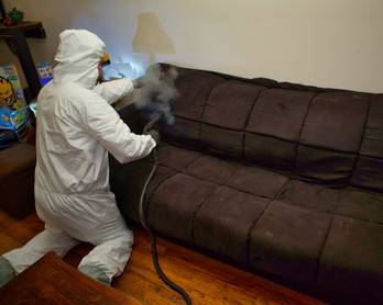 Steam Vapor Treatment for Bed Bugs 71
