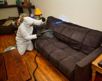 Steam Vapor Treatment for Bed Bugs 72