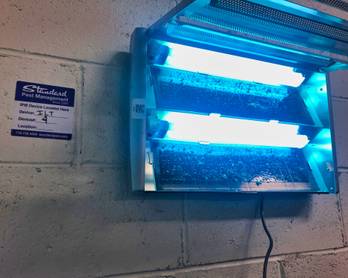 UV Fly Traps installation example 7