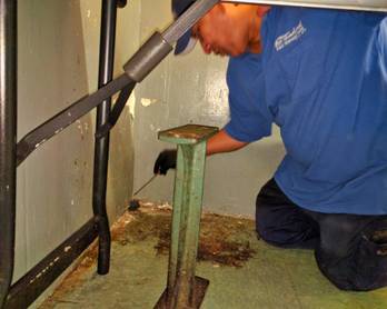 Rodent Proofing & Exclusion examples
