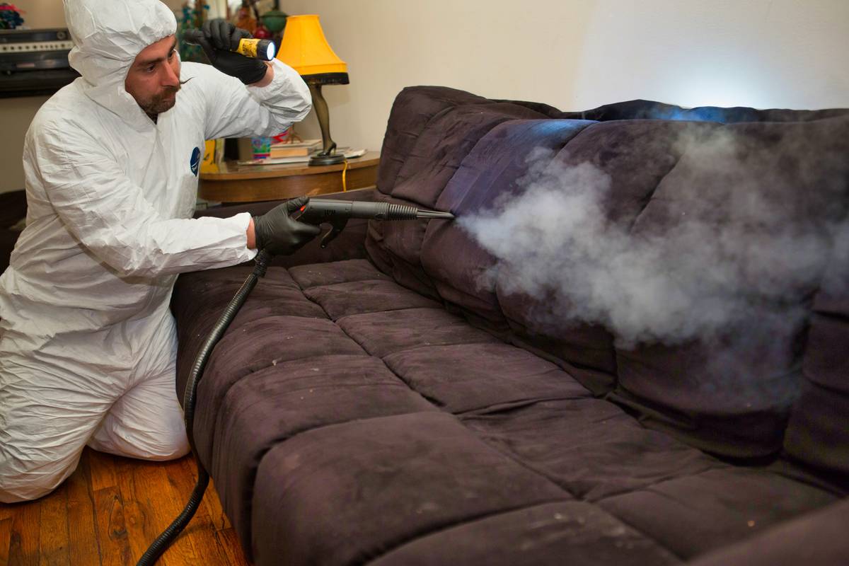 severe bed bug infestation steam treatment technician