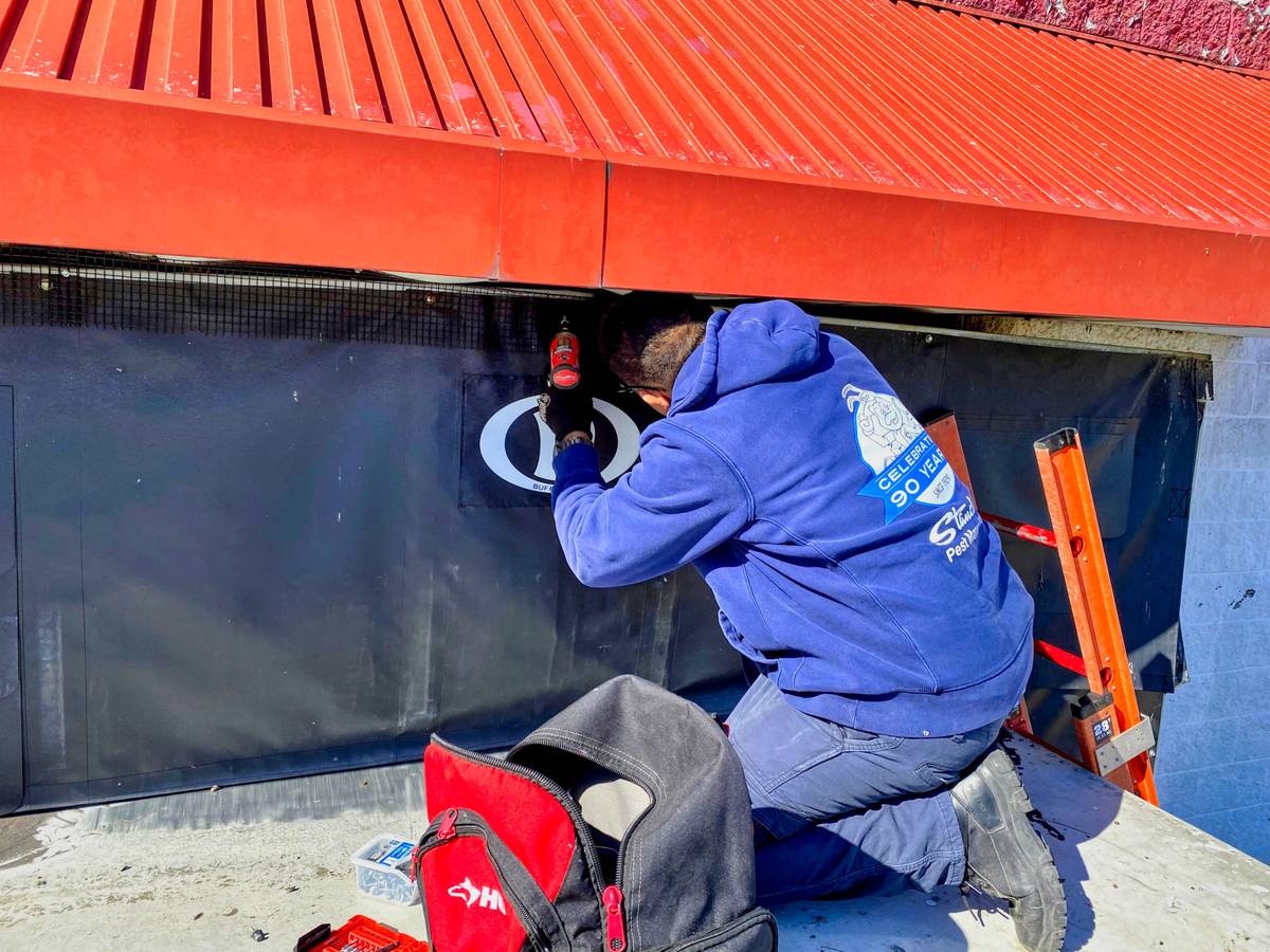 bird control technician installing netting