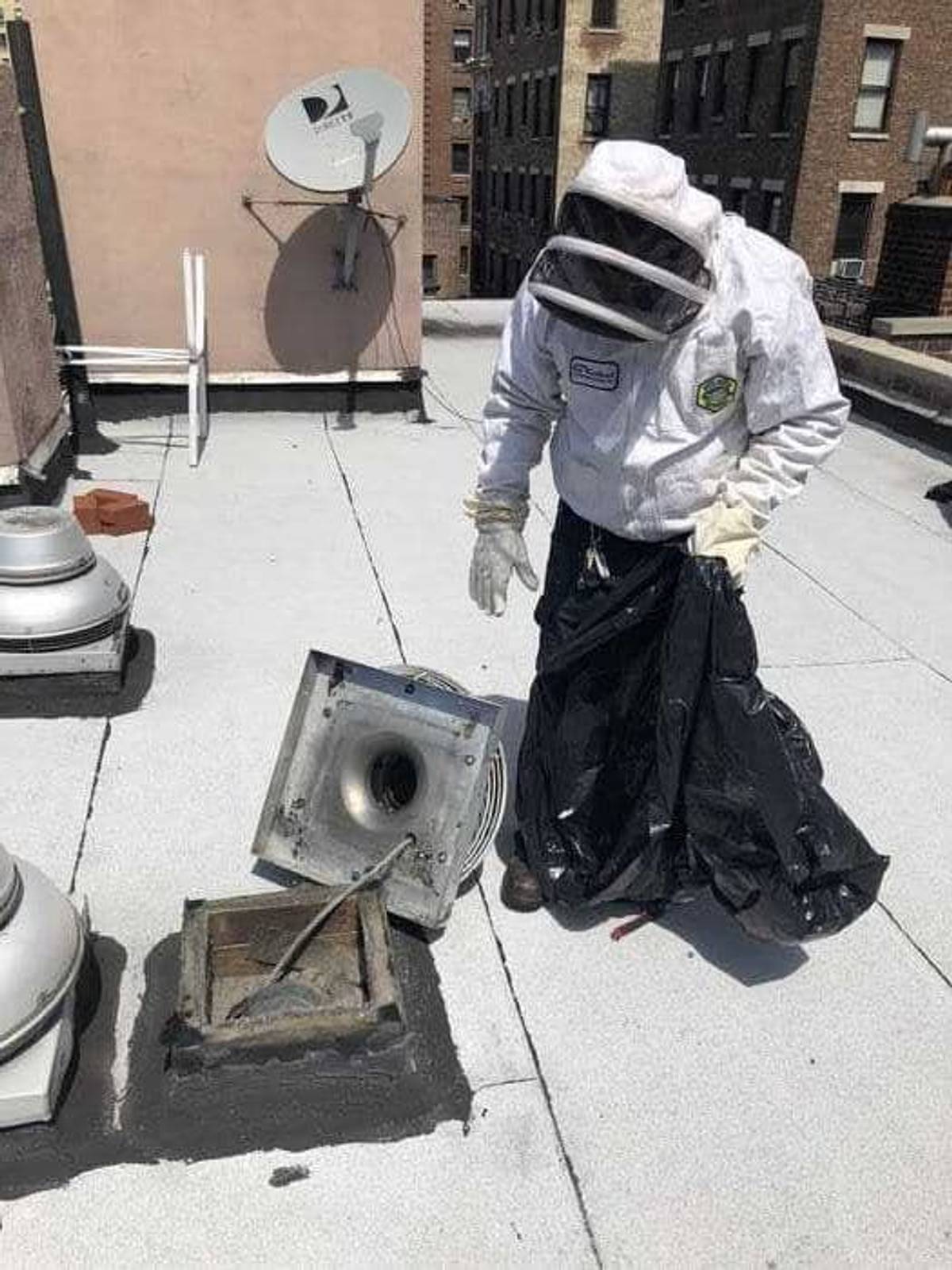 commercial bees nest removal and treatment in nyc