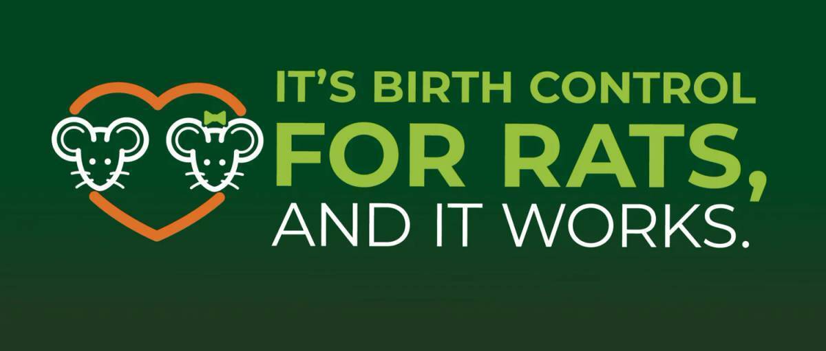 Birth Control for Rats