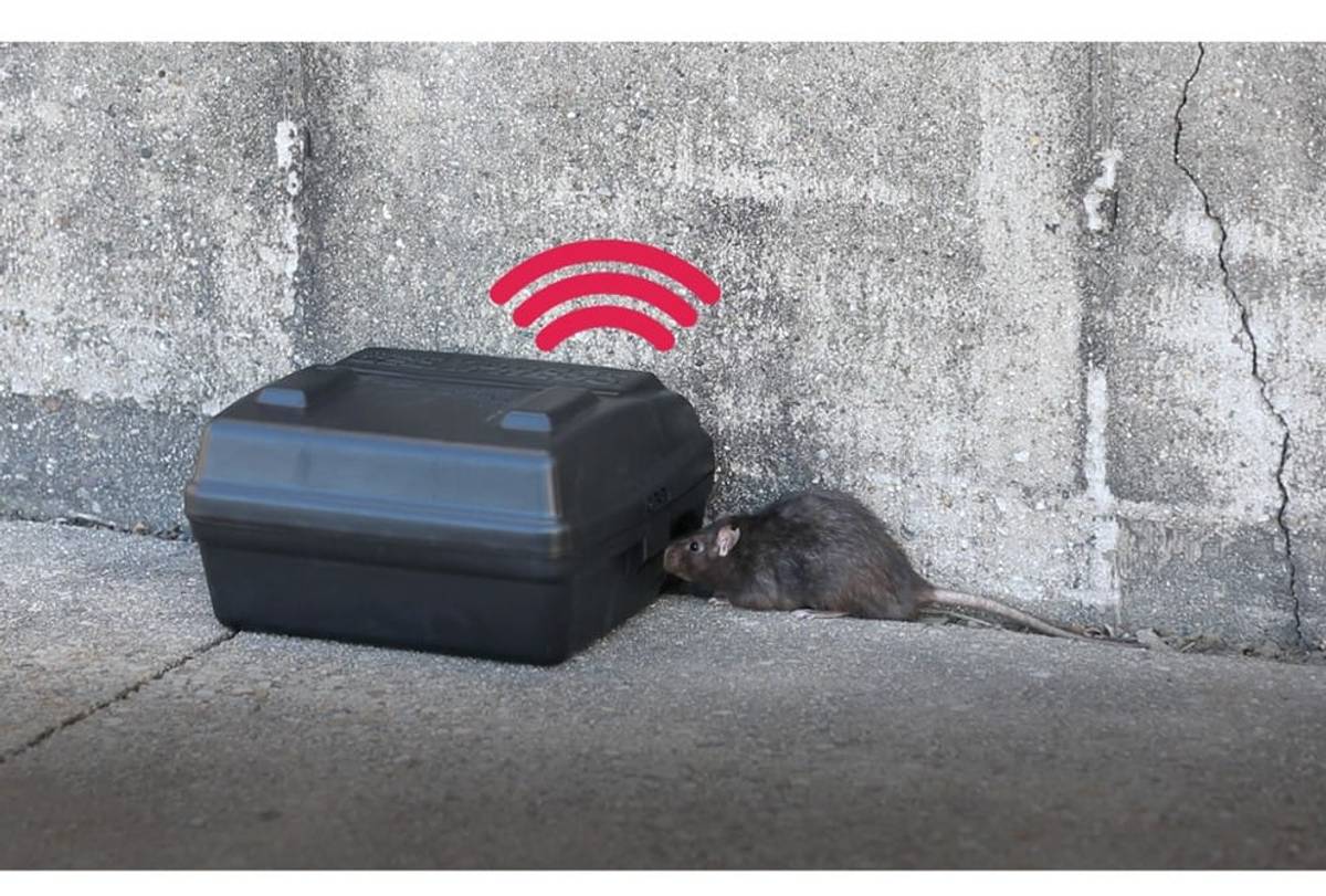 wireless rodednt bait station example 1
