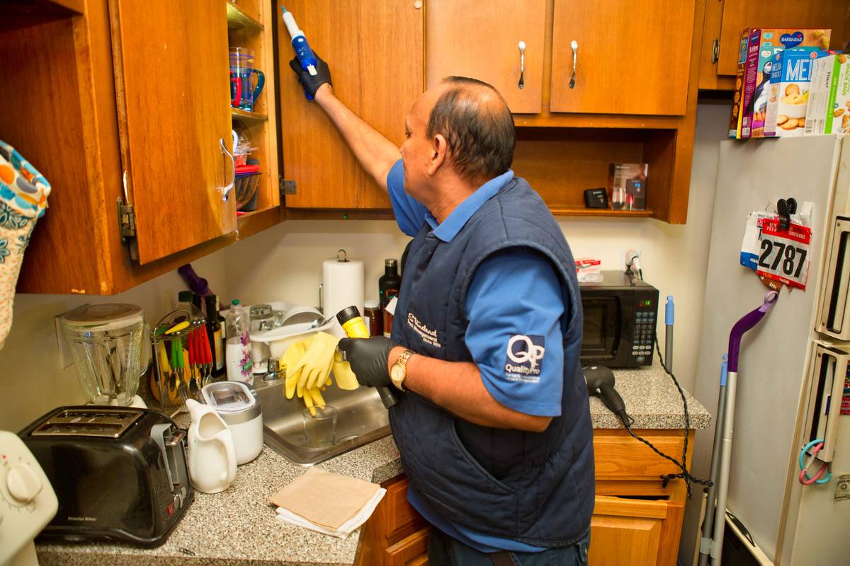 proactive pest management & inspecting cupboards inside home