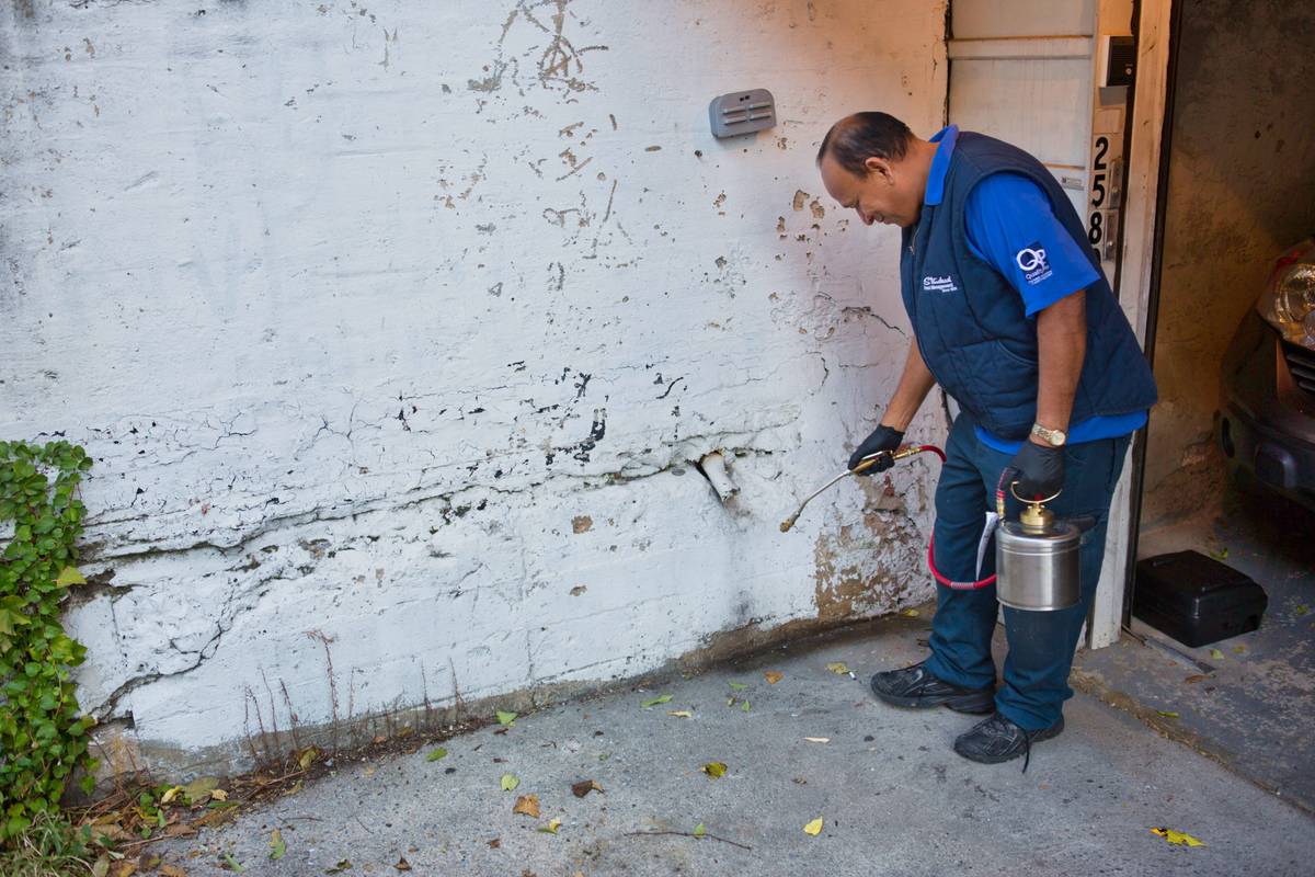 exterminator spraying house wall