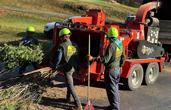 chipper machine for tree removal