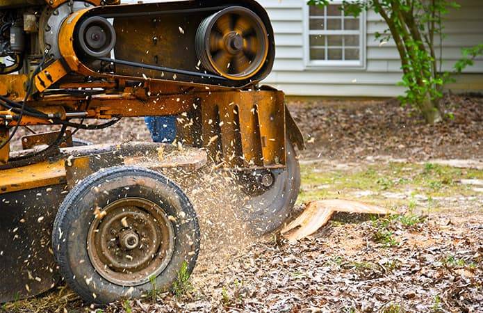 stump grinding machine